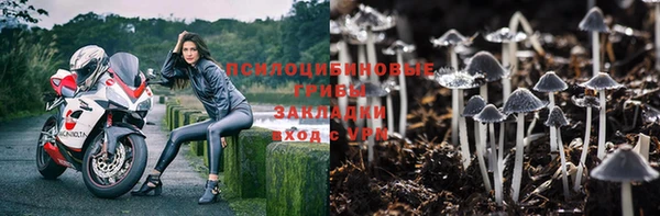 мяу мяу кристалл Заводоуковск